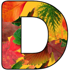 Herbstbuchstabe-5-D.jpg